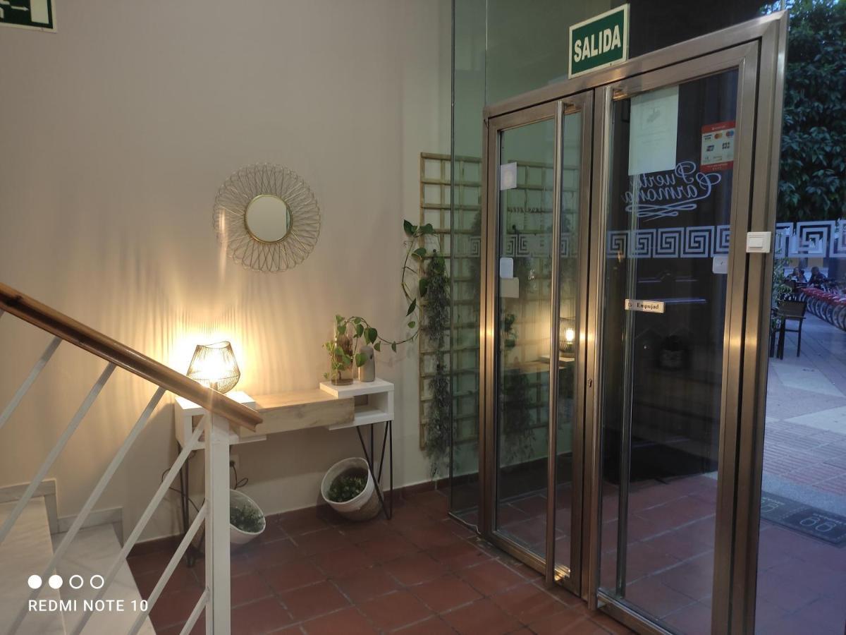 Hostal Puerta Carmona Sevilla Dış mekan fotoğraf